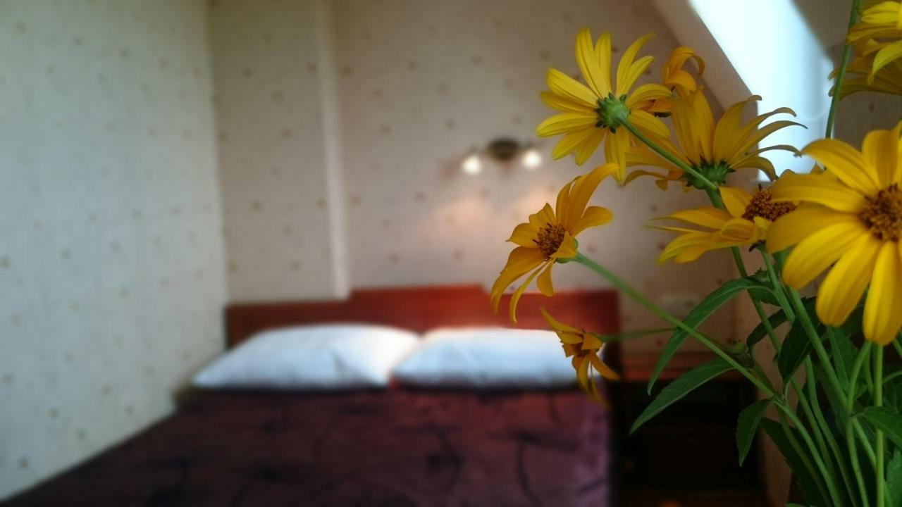 Villa Gracja Łeba Extérieur photo